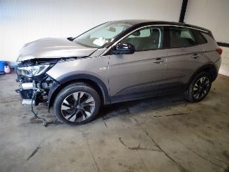 uszkodzony samochody osobowe Opel Grandland 1.2 THP AUTOMAAT 2019/5