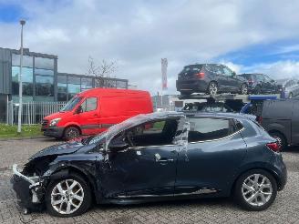 škoda kempování Renault Clio 0.9 TCe Limited BJ 2019 60380 KM 2019/1