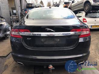 dañado vehículos comerciales Jaguar XF XF (CC9), Sedan, 2008 / 2015 3.0 D V6 24V 2010/8