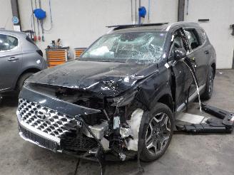 škoda osobní automobily Hyundai Santa Fe Santa Fe IV SUV 1.6 T-GDI Hybrid (G4FT) [169kW]  (08-2020/...) 2021/4