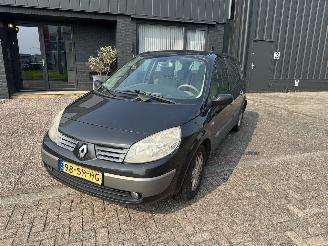 Auto incidentate Renault Grand-scenic 2.0-16v 7-persoons 2006/4
