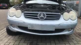 dommages scooters Mercedes SL SL 500 2002/1