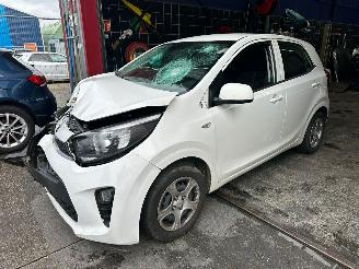 disassembly commercial vehicles Kia Picanto  2019/3